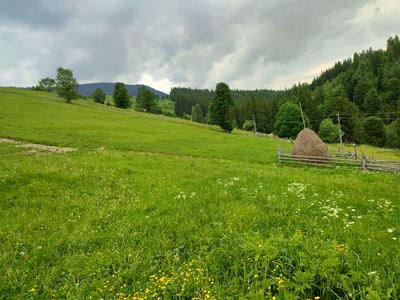 ділянка за адресою с. Кривопілля, коротеньке