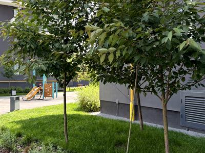 квартира за адресою Топольна вул., 4в