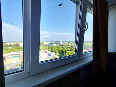 квартира за адресою Академіка Кримського вул., 2