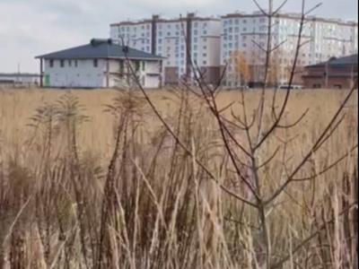участок по адресу с. Софиевская борщаговка, 