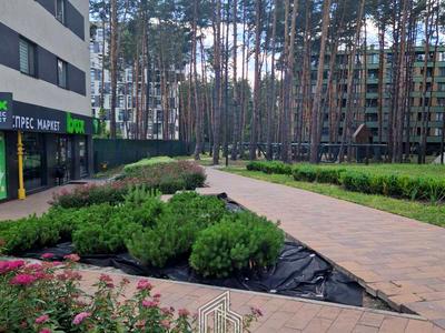 квартира за адресою смт. Гостомель, Богдана Ступки пров., 3