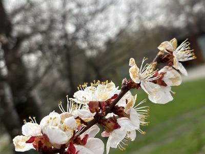 квартира за адресою Семафорна вул., 3
