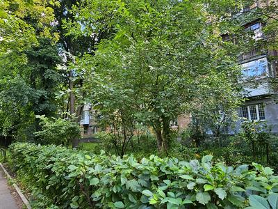 квартира за адресою Київ, Академіка Білецького вул., 5
