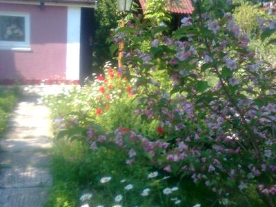будинок за адресою Рибальська
