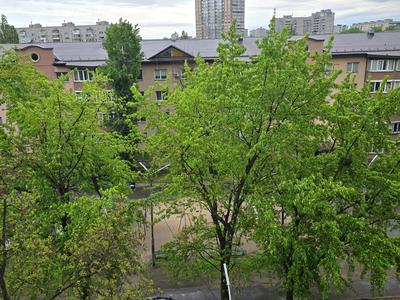 квартира по адресу Кастуся Калиновського ул. (Астраханская), 3