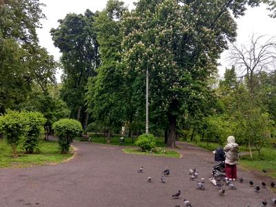 квартира за адресою Володимира Винниченка вул. (Юрія Коцюбинського), 18