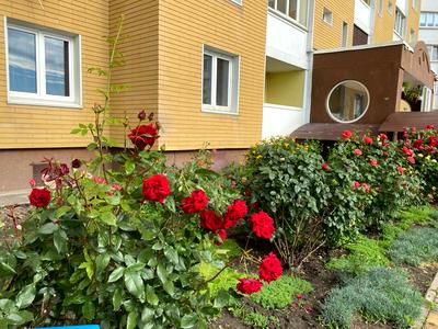 квартира по адресу Сергея Данченко ул., 5