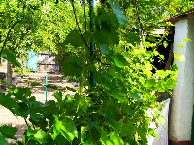 дом по адресу Харьков, Вакуловская ул.