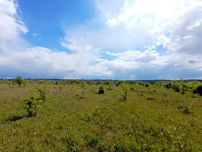 участок по адресу вище вул. Затишної