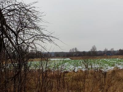 дом по адресу Надиновка