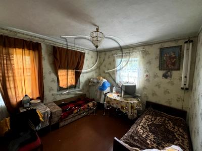дом по адресу с. Летки, Каштанова вулиця, 1