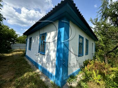дом по адресу с. Летки, Каштанова вулиця, 1