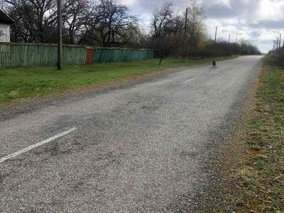 дом по адресу Центральна