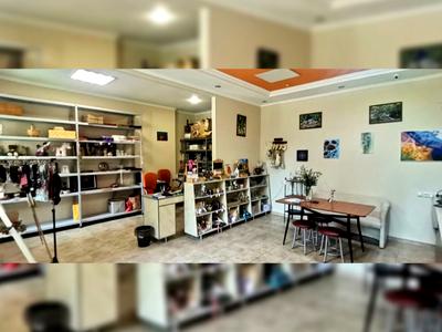 коммерческая по адресу Фалєєвська, 50