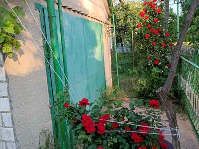 дом по адресу Суворова, 1