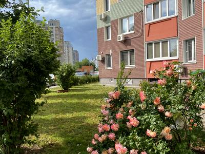 квартира по адресу Киев, Юлии Здановской ул. (Ломоносова), 85-А