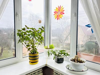 дом по адресу Берестейский просп. (Победы)