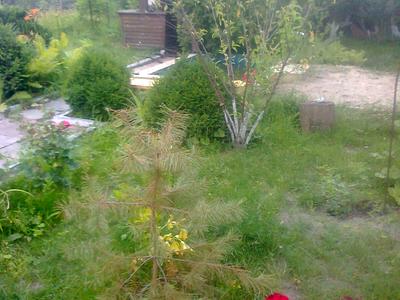 будинок за адресою Рибальська