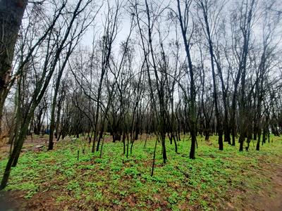 квартира за адресою Тираспольська вул., 58
