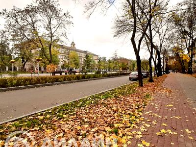 комерційна за адресою Маяковського просп., 7