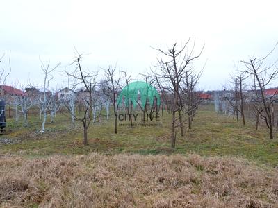 будинок за адресою с. Братківці, Петрикова