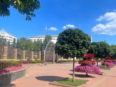 квартира за адресою Михайла Донця вул., 21-А