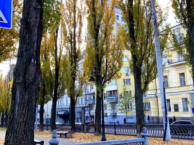 квартира по адресу Терещенковская ул., 7/13