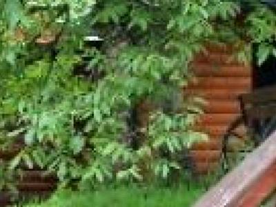 будинок за адресою Яремче, Кам'янка, 48