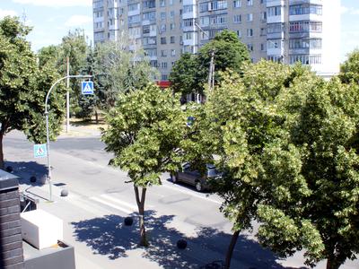 квартира за адресою Олеся Гончара вул., 11
