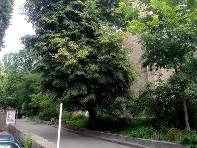 квартира за адресою Кирило-Мефодіївська вул., 7