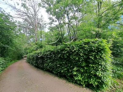участок по адресу с. Креничи, Центральна вулиця