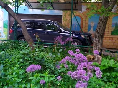 квартира за адресою Ясна вул., 9