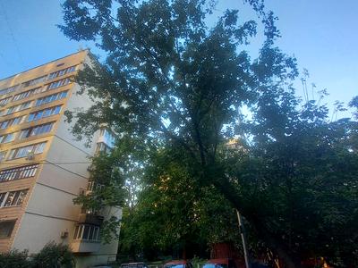 квартира по адресу Чешская ул., 4