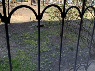 квартира по адресу Митрополита Василия Липковского ул. (Урицкого), 11