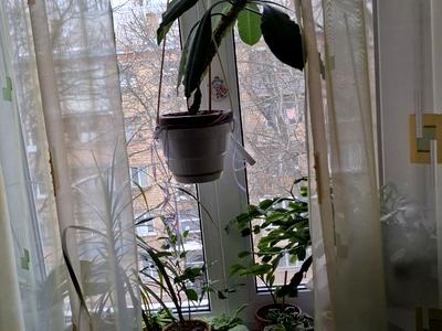 квартира по адресу Академика Вернадского бульв., 65