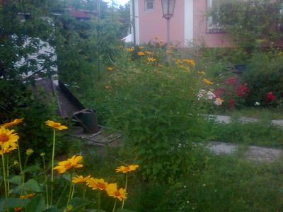 будинок за адресою Рибальська