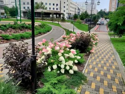 квартира за адресою Київ, Кахи Бендукідзе вул., 2
