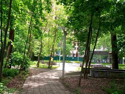 квартира за адресою Львівська вул., 18-Б