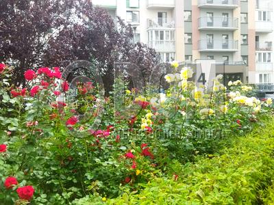 квартира по адресу Тираспольская ул., 52