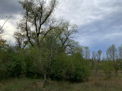 ділянка за адресою с. Новоселівка, 