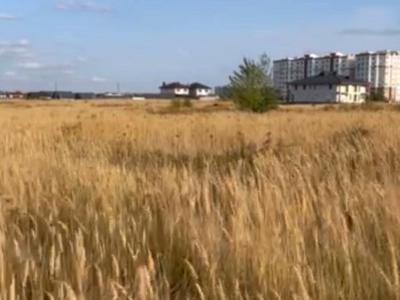 участок по адресу с. Софиевская борщаговка, 