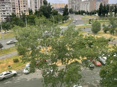 квартира по адресу Зои Гайдай ул., 10