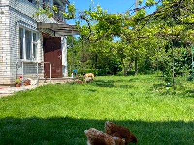 будинок за адресою Центральний пров., 8