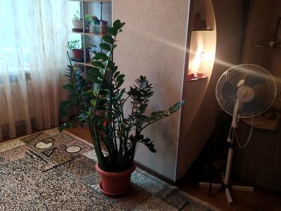 квартира по адресу Школьная ул., 22-А