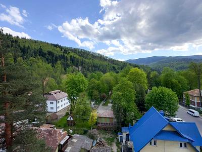комерційна за адресою Яремче, Свободи вул., 311