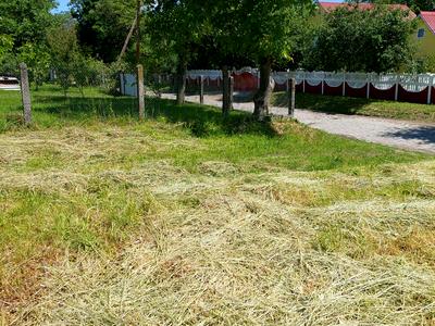 участок по адресу с. Писаревка, козацької слави