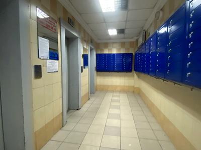 квартира за адресою Олени Пчілки вул., 5