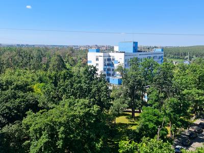 квартира по адресу Михаила Котельникова ул., 80
