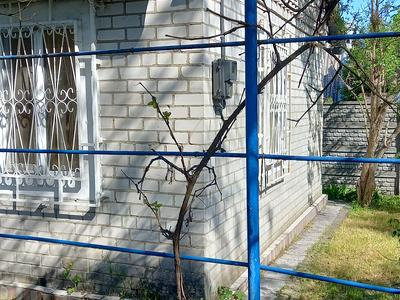 дом по адресу калинова