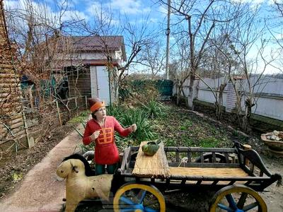 будинок за адресою Солов'іна